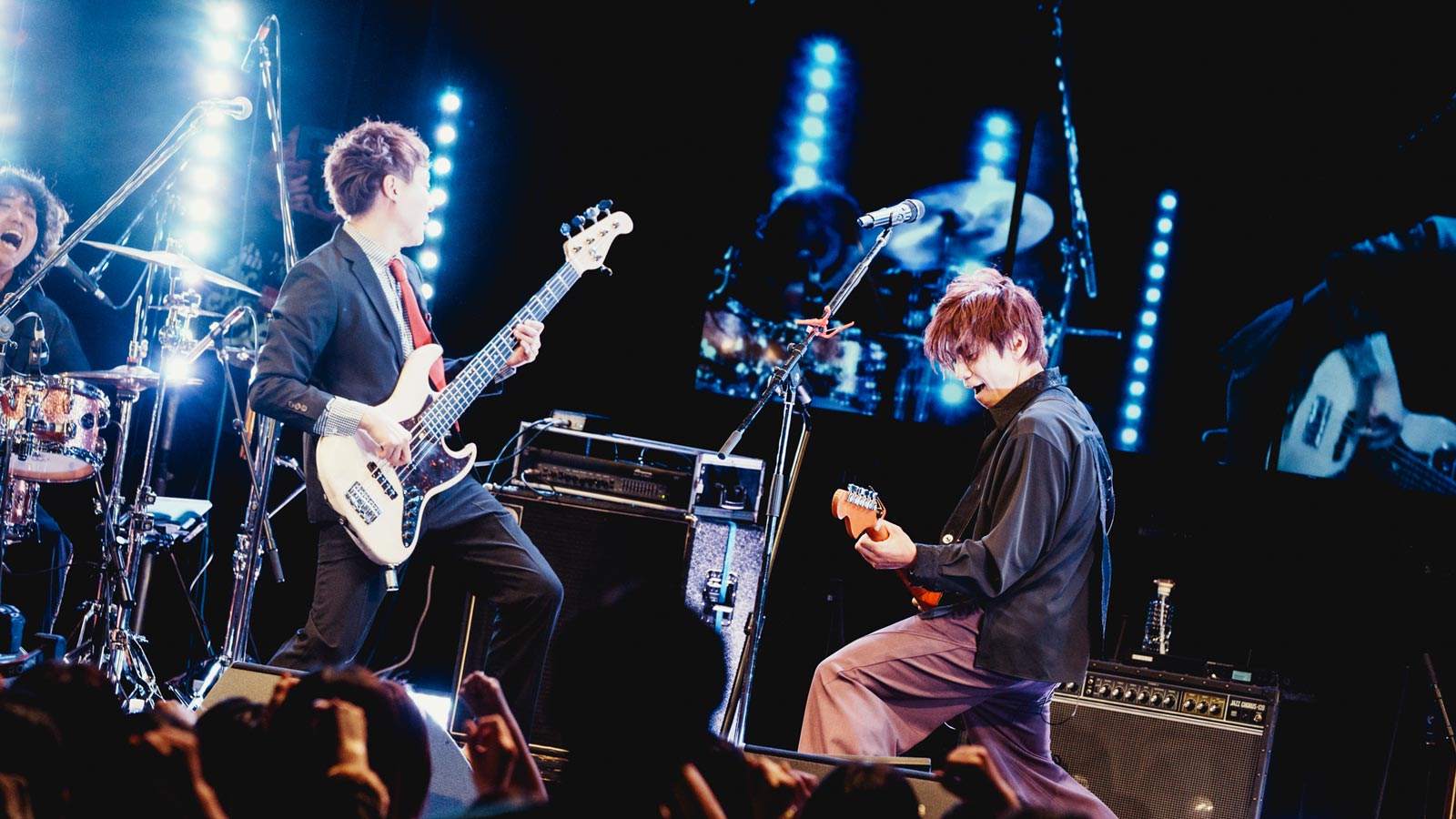 ZILCONIA official website